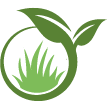 Portland Lawn Clean Up