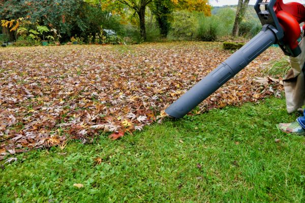 Leaf Vacuuming Service