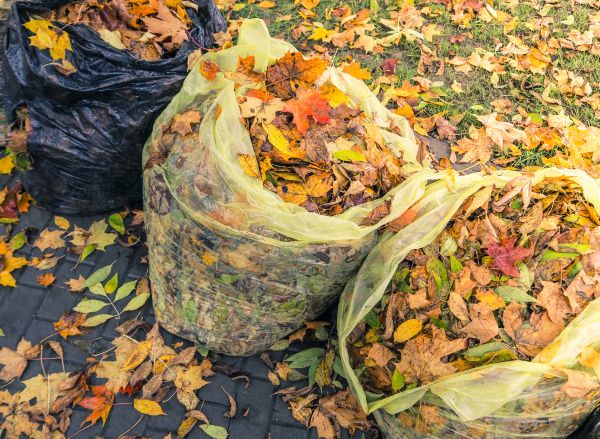 Lawn Leaf Disposal Service