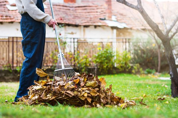 Spring Lawn Cleanup Service