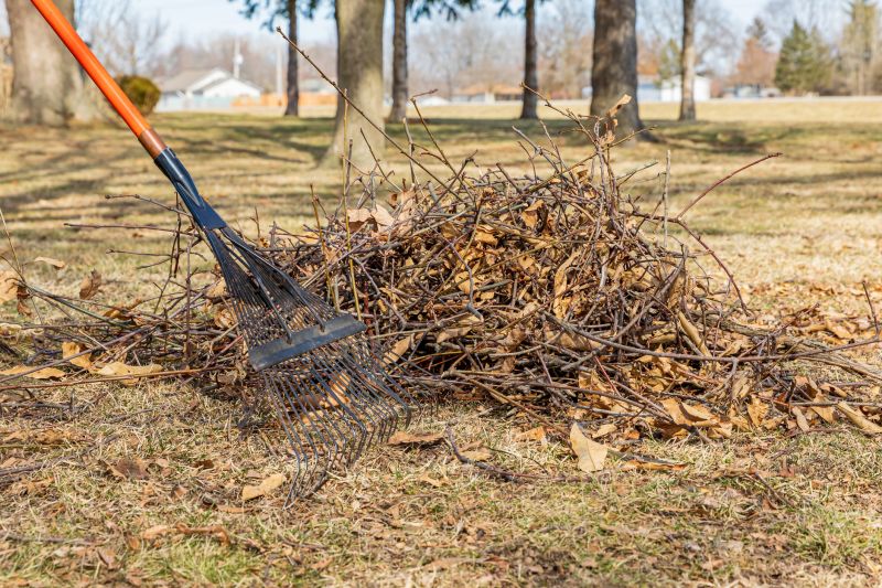 Lawn Debris Cleanup detail